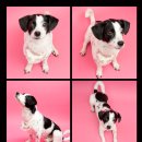 견생유치원 이미지