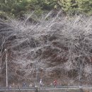 성화지역아동센터 이미지