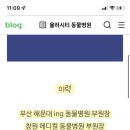 율하시티동물병원 이미지