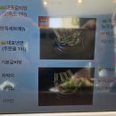 신비식당