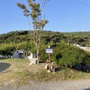 충청도 캠핑장 충남 서산클럽아일랜드 카라반 캠핑 이용후기