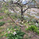 서리농장 이미지