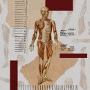 주식회사 하나테크놀러지 이미지