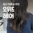 오약국 | 오위드헤어 웨스턴돔미용실 추천 레이어드펌 후기