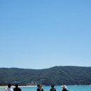 내미농박 이미지