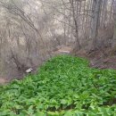 장중은농장 이미지