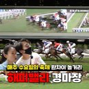홍콩 해피밸리 경마장 수요일 완차이 자유여행 추천