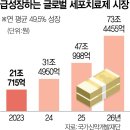 황금시장 이미지
