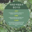 어성초영농조합법인