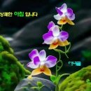 오룡골 이미지