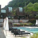 타피올라 이미지