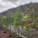 대지농장 이미지