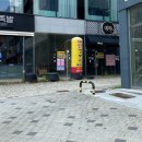 광주 남구 효천지구 맛집 첨단 돌솥 감자탕 효천점