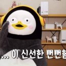 루리네 이미지