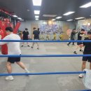 캡틴복싱클럽 이미지