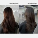 영양카써비스 | 전주객사미용실 안녕낯선남자2호점 카나토클리닉 받고 머릿결 심폐소생술한 후기