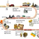 우래1길 전체 | 제주 동쪽 혼자 여행코스 맛집부터 카페 술집 숙소 마사지까지