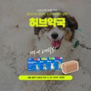 신금호약국
