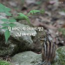 눈치 - 광산구 신창로138번길 23-2 | 눈치