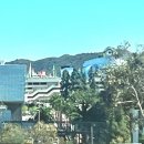 데이앤나잇(Day and night) | Day 2 점심 - LA 유니버셜 스튜디오 할로윈 호러나잇