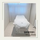 운동없이 살빼기가능 전신관리 셀포랩멋쟁이 관리후기