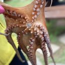 해무펜션민박 이미지