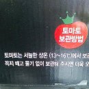 토마토마(tomatoma) | [하랑] 건강에 좋고 맛도 좋은 토마토마 오색 컬러 칵테일 토마토