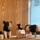 엄마손순대국뼈해장국 이미지