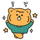 스테이 272 이미지