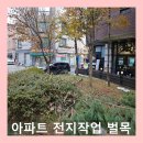 대림벌목