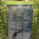 명일성모내과의원 이미지