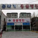 쥬라기동물종합병원 이미지
