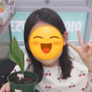 소담영어교습소