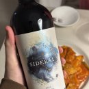 2020-65 | [칠레 레드] 시데랄 2020 (Sideral 2020) 후기