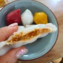 슈올즈제주