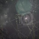 선장우체국 이미지