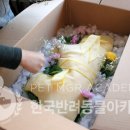 한국전문장례지도사교육원 이미지