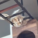 테이블에이 이미지