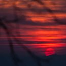 자연과인간사이 이미지