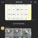 멍스럽 이미지