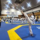 세계로 태권도 이미지