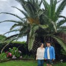 뉘드뽀즈 이미지