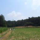 동막동(1) 이미지