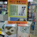 번동종로약국 이미지