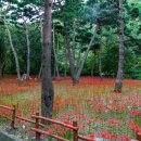 성주산자연휴양림 이미지