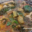 조마루뼈다귀노형점 이미지