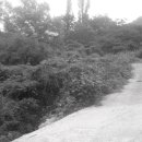 설천면010 이미지