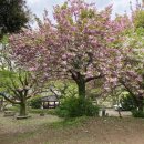 동화공원경로당 이미지