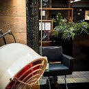 의정부호원동물약국 | 호원미용실 정착지 찾다가 유목민 생활 끝냈어요