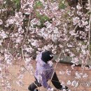 예래로 이미지
